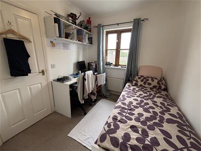 Picture 7